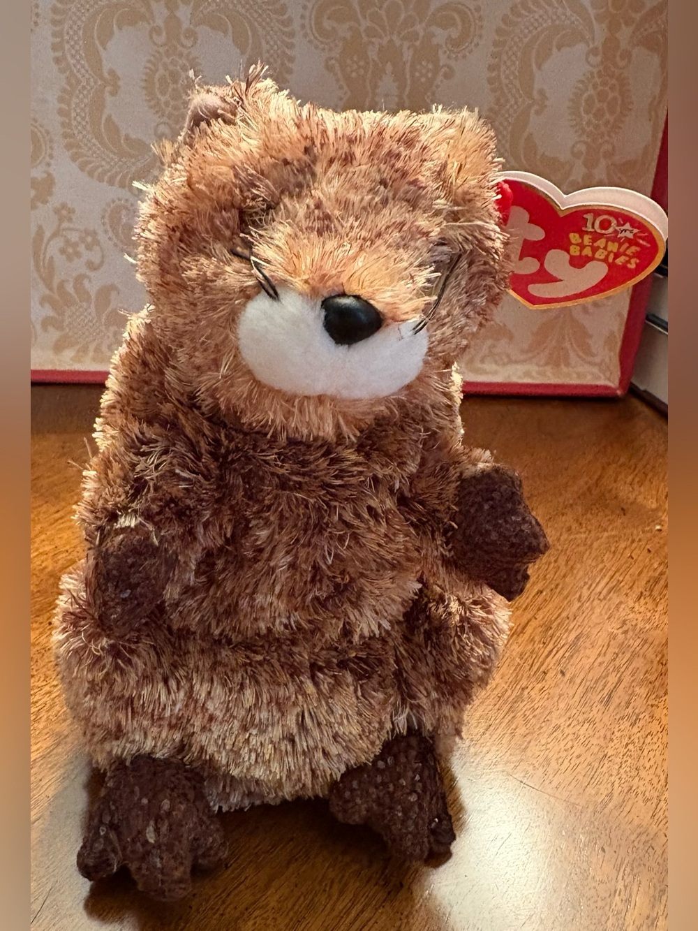 2002 TY Brown Plush Groundhog Stuffed Animal - Soft Kids Toy